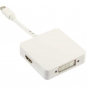 Preview: InLine Mini DisplayPort Adapter Cable, white, 0.15m, 
Mini DP Male to HDMI / DVI / DP Female