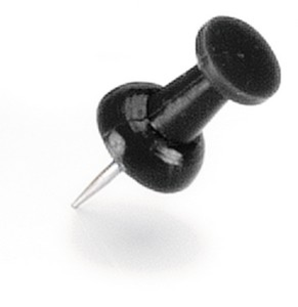 Legamaster Push Pins, black, 50-pack